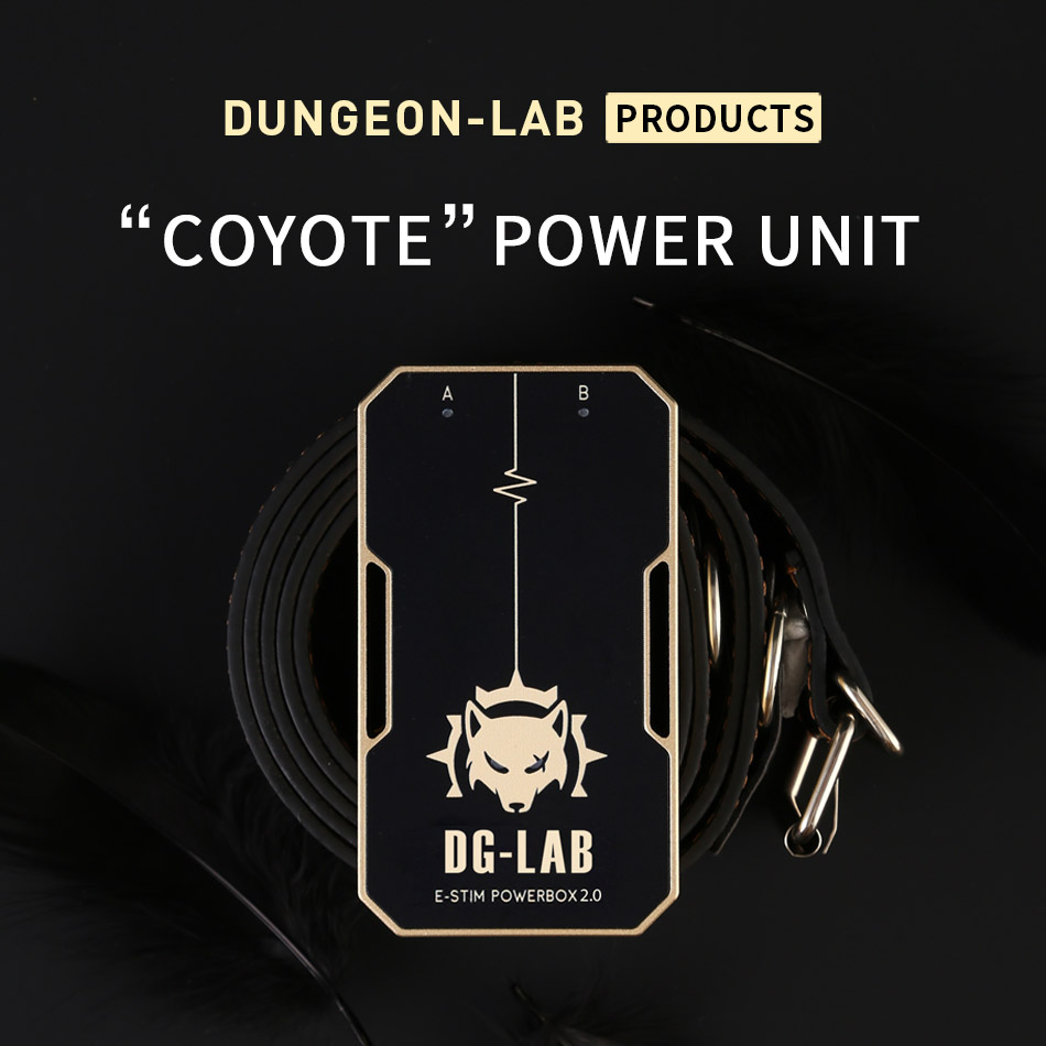 Dungeon-Lab - DG-Lab Coyote E-Stim Powerbox - Image 3